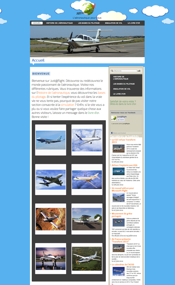 Aperçu du site justaflight.fr